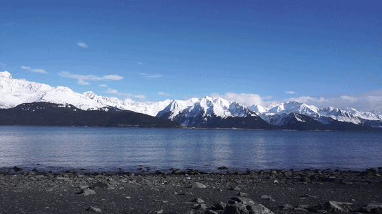 Calm Day at Resurrection Bay