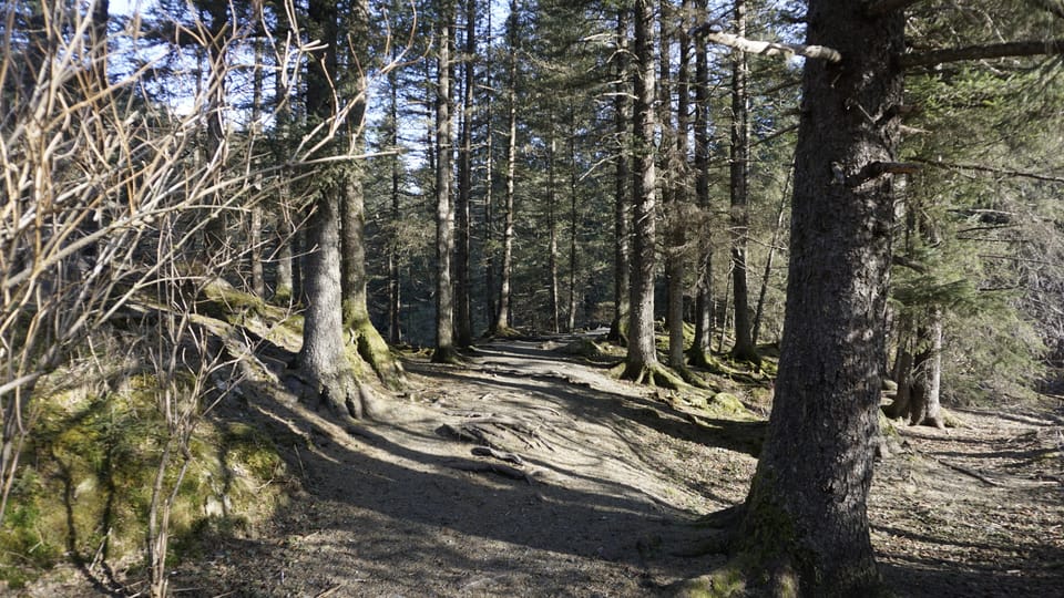 A small hike for the day.